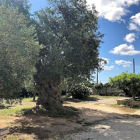 Le Stanze Di Casa Polinisso Carovigno Exterior foto