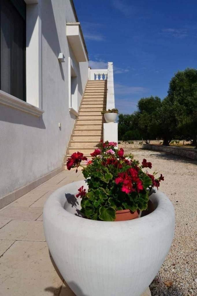 Le Stanze Di Casa Polinisso Carovigno Exterior foto