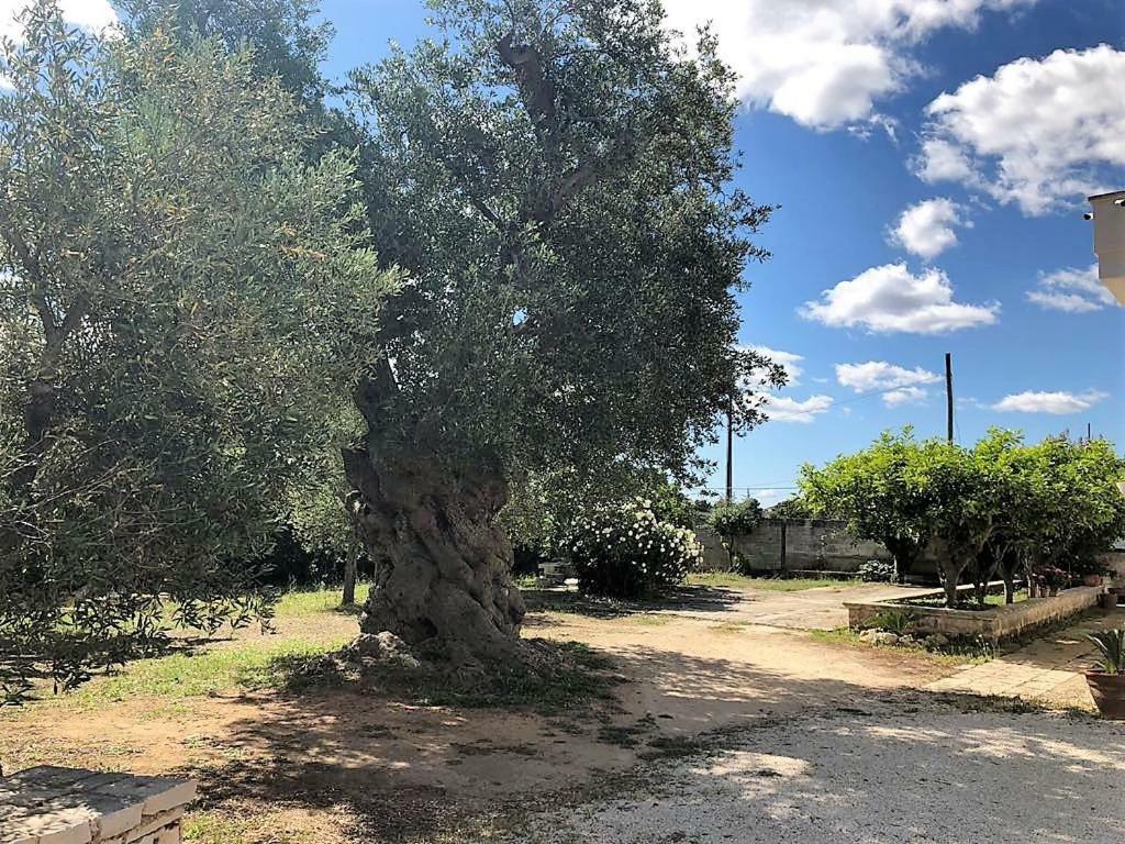 Le Stanze Di Casa Polinisso Carovigno Exterior foto