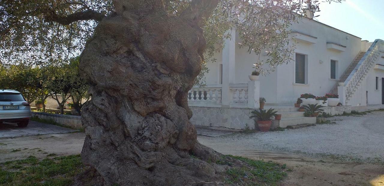 Le Stanze Di Casa Polinisso Carovigno Exterior foto
